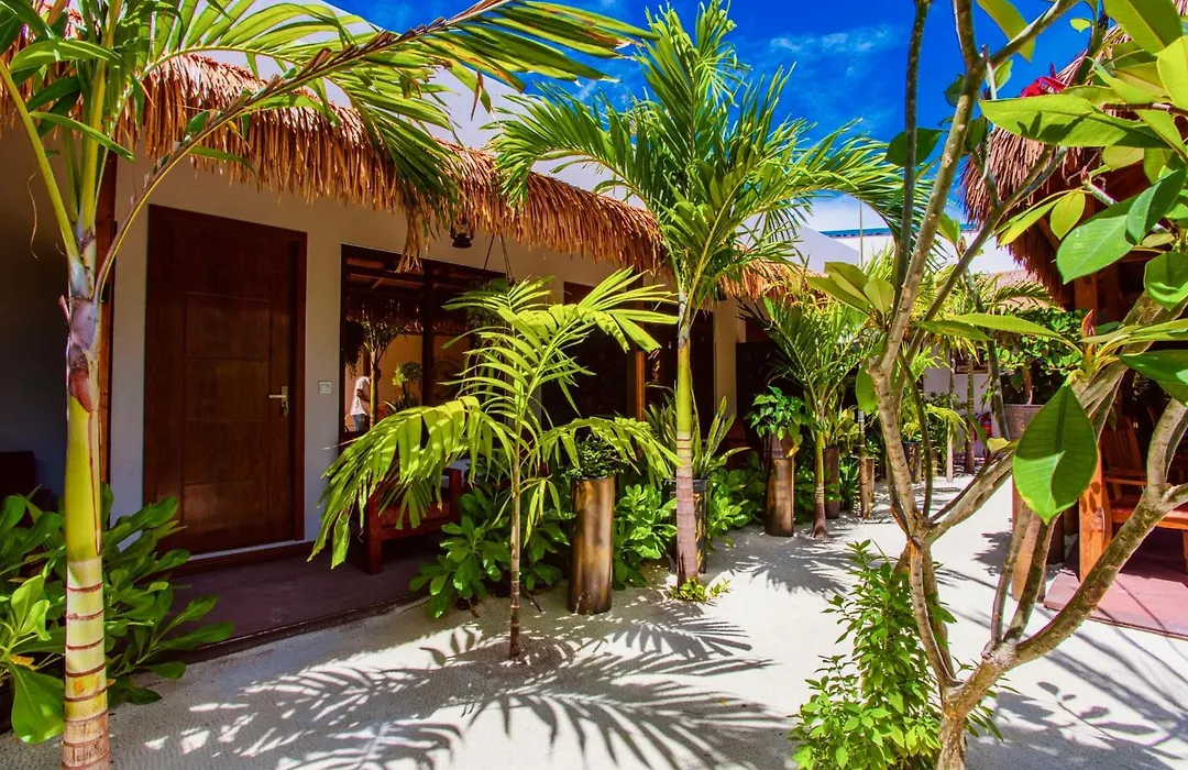 Rustic Villa-1